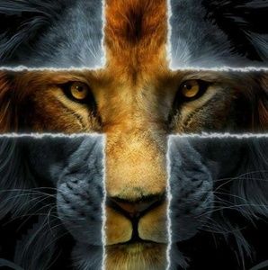 Meet your Posher, Ronnie